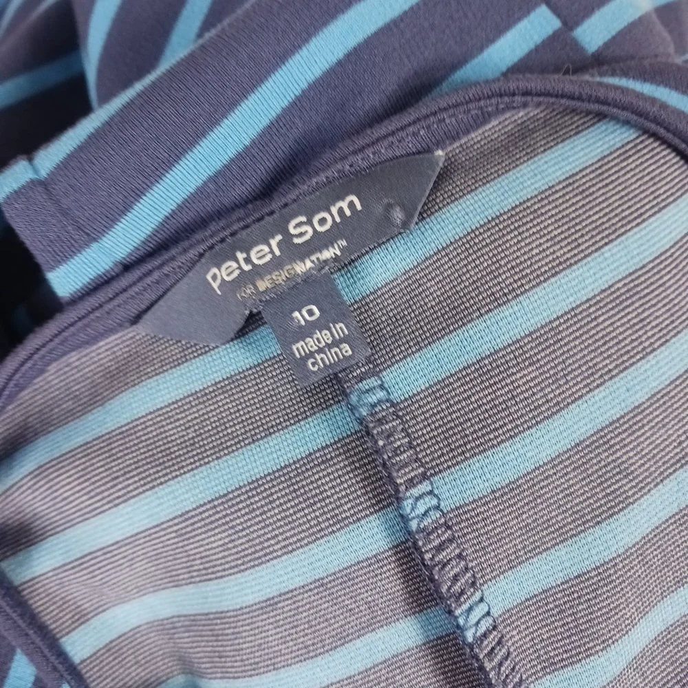 Peter Som Blue Stripe Sleeveless Fit and Flare Dress Size 10